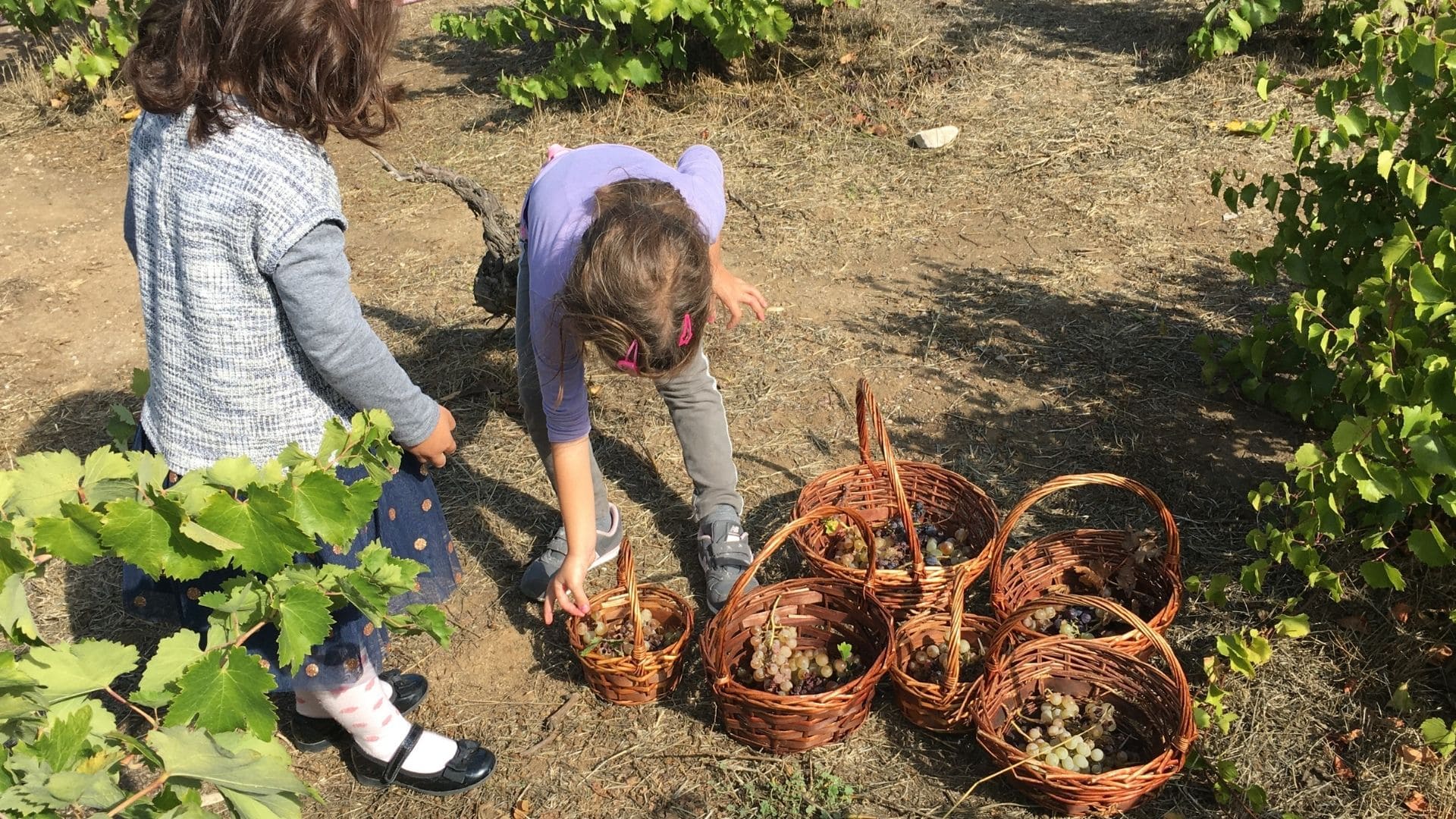 Ντίνα Καψάλη Παιδικός Σταθμός 12