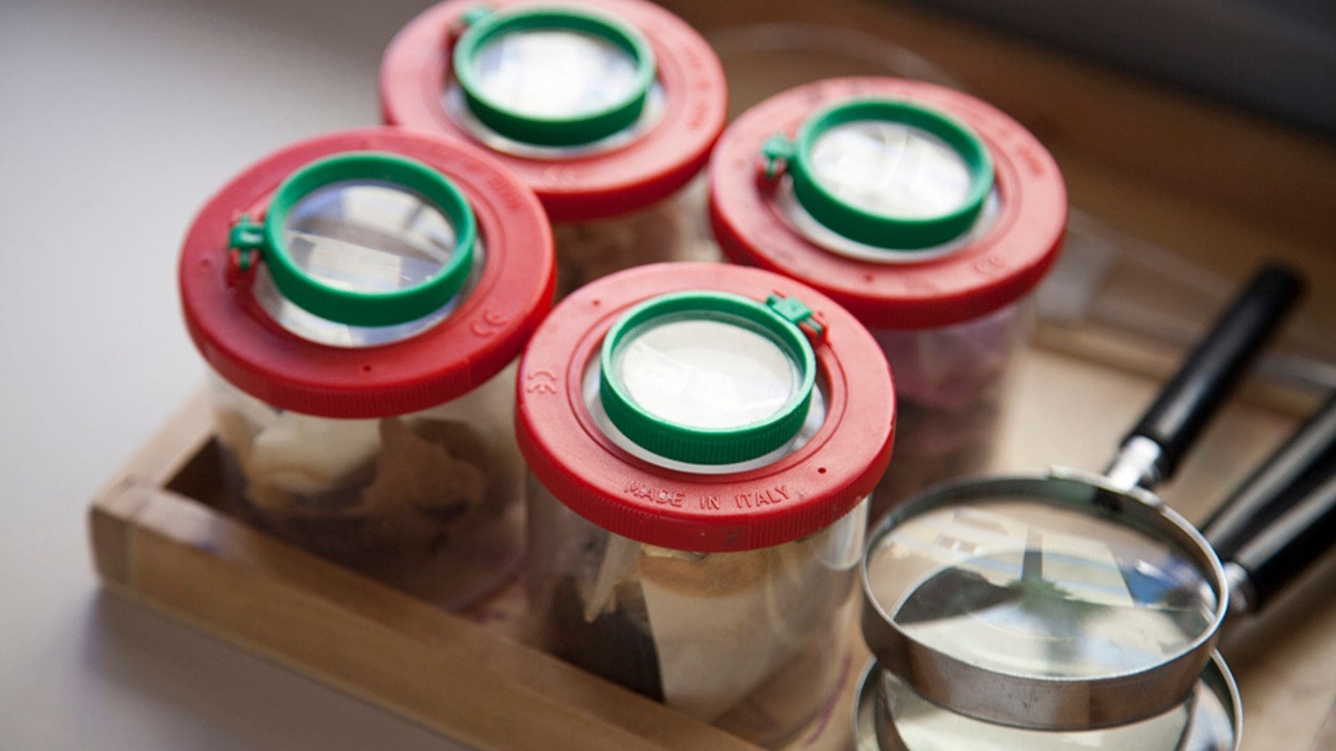 Η φύση στο μικροσκόπιο 01